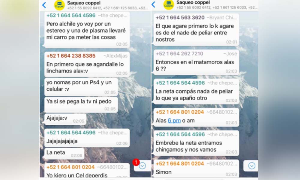 Abren grupos de WhatsApp para coordinar saqueos en Tijuana