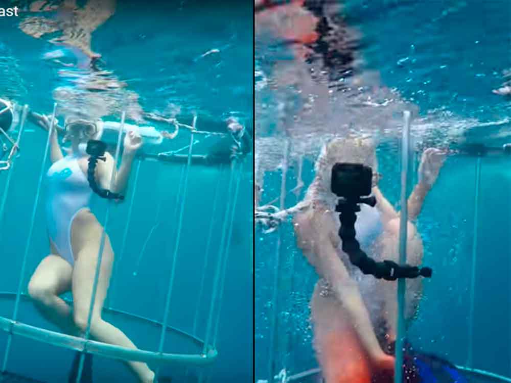 Actriz porno atacada por tiburón al filmar una escena