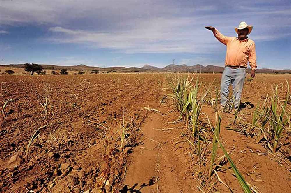 Alerta: Confirman sequía en Baja California