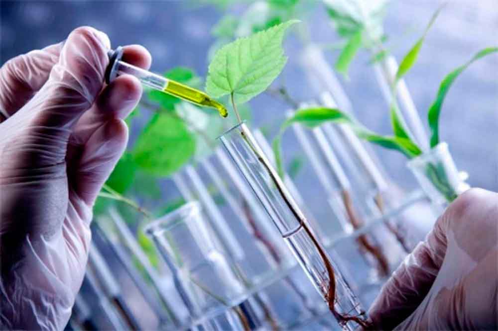 Plantean crear industria de biotecnología en Baja California