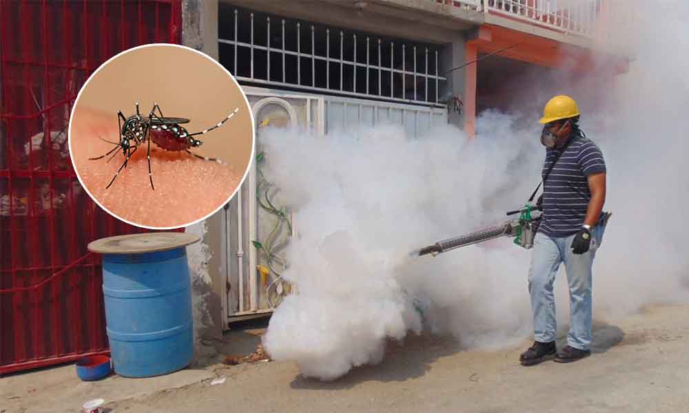 Alertan por presencia de Dengue en Baja California
