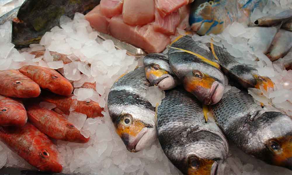 Cuidado con el consumo de pescado en mal estado, podría transmitir cólera: IMSS