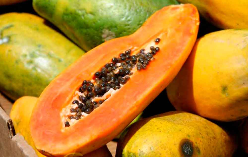 EU reporta nuevos casos de salmonella ligados a papaya mexicana