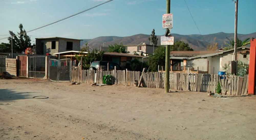 Asaltantes mataron a perros por impedirles entrar a robar a una casa en Tijuana