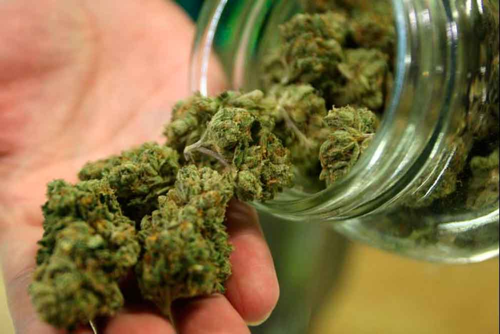 San Diego se prepara para permitir empresas de suministro de marihuana