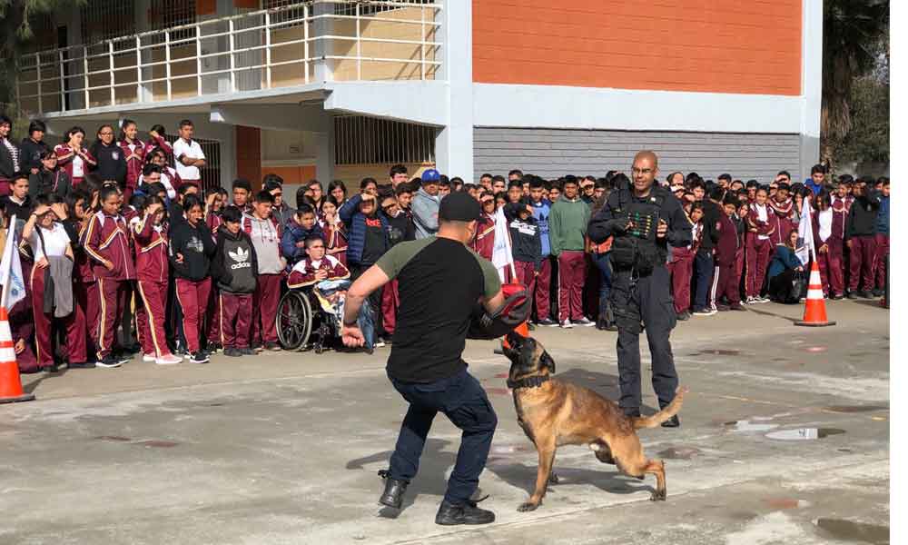 Estrategias de seguridad en escuelas de Tecate dan resultados positivos