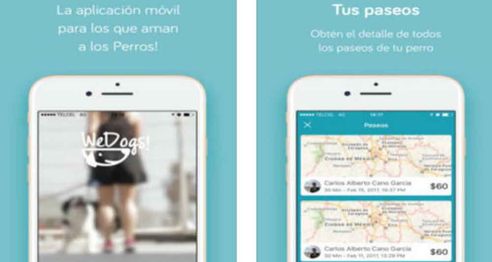 Crean mexicanos app tipo Uber para pasear a tu perro
