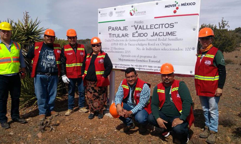 Obtiene certificación Unidad Productora de Germoplasma Forestal en Baja California
