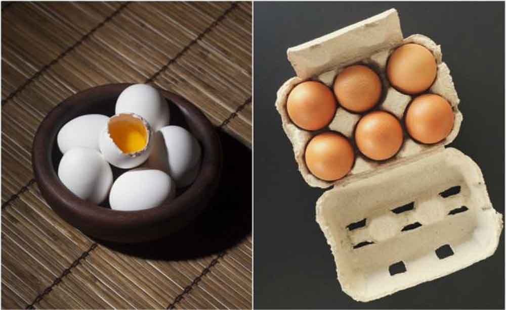 ¿Sabes que huevos son los mejores: blancos o rojos?