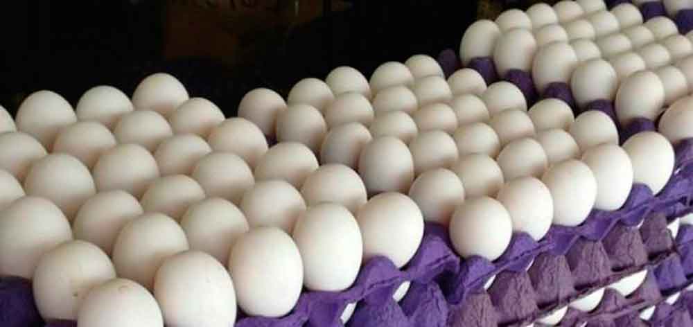Se dispara el precio del huevo en Oaxaca, alcanza 75 pesos