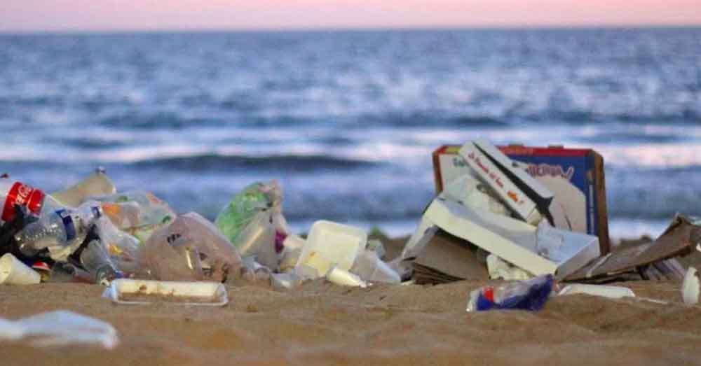 Fuertes multas a vacacionistas que tiren basura en playas