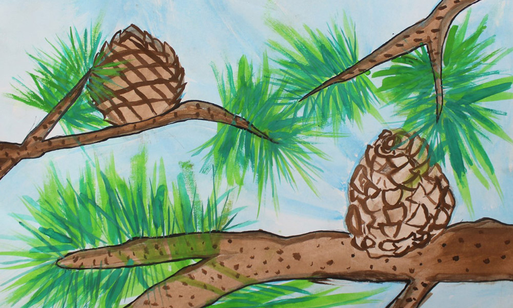 Invitan a niños y niñas a participar en el Concurso Nacional de Dibujo Infantil “Vamos a pintar un árbol”