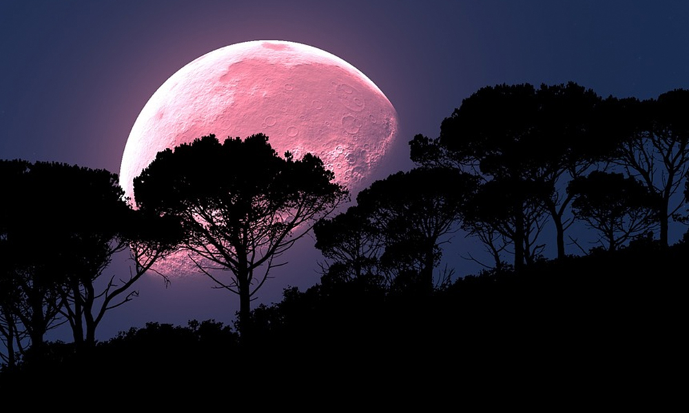 Luna rosa iluminará abril; te decimos cuando