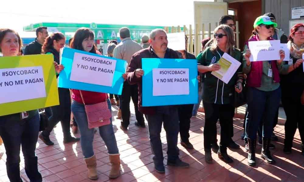 COBACH Baja California no tiene dinero para pagar a empleados jubilados