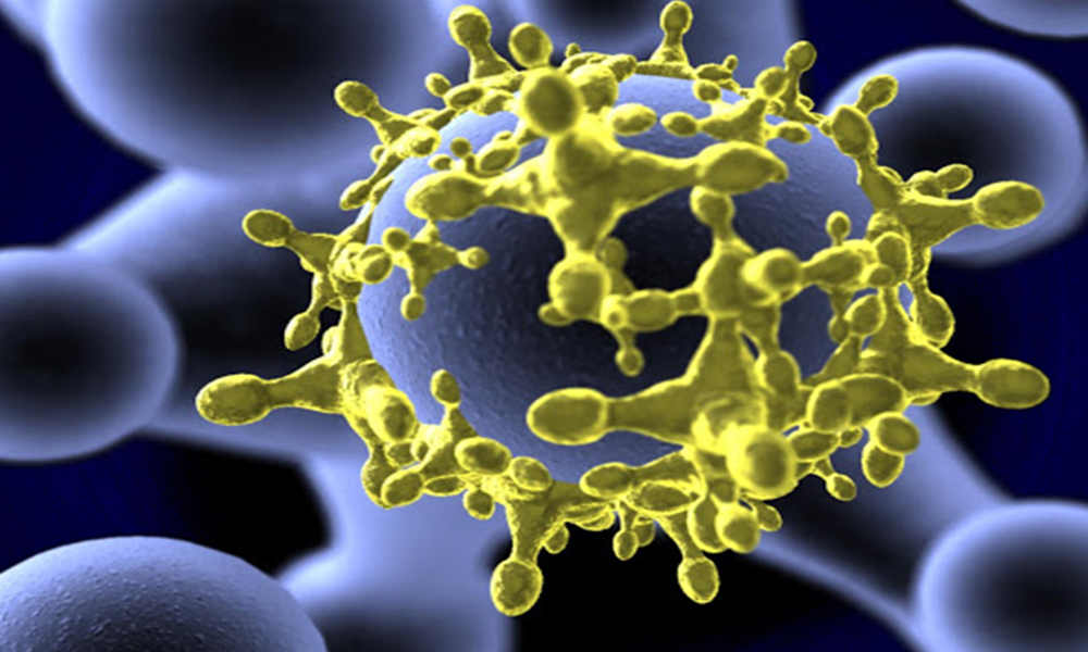 Virus de la leucemia, brote que debería preocupar al mundo