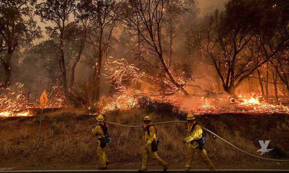 Emite Protección Civil recomendaciones para evitar incendios forestales en Baja California