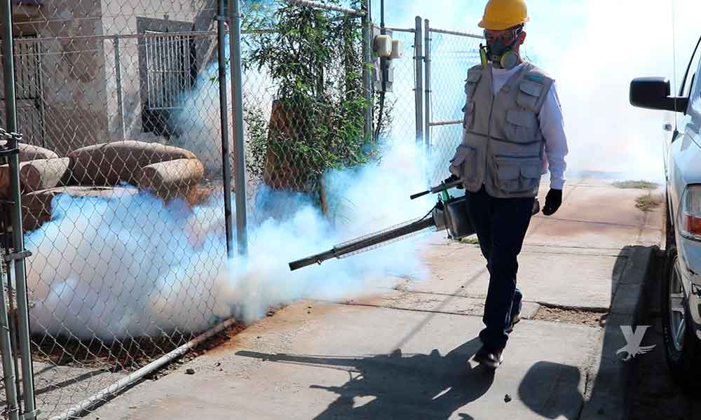 Activan para residentes y visitantes de Mexicali alerta por moscos que transmiten el dengue