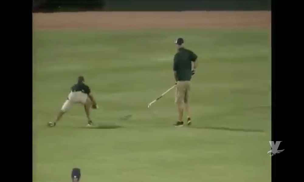 (VIDEO) Una víbora interrumpió un juego de beisbol en Estados Unidos