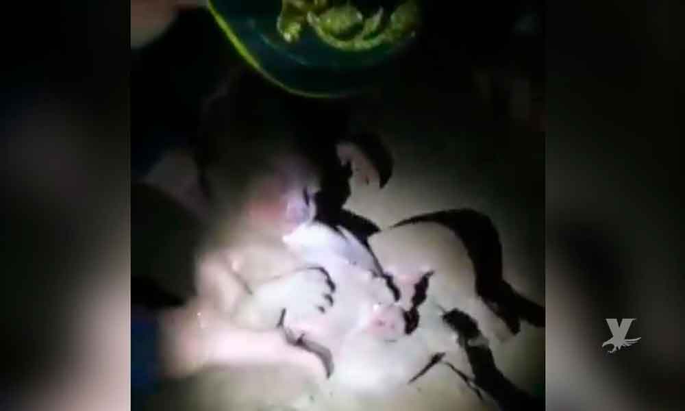 (VIDEO) Policía rescata a bebé recién nacida enterrada por su mamá, una menor de 15 años