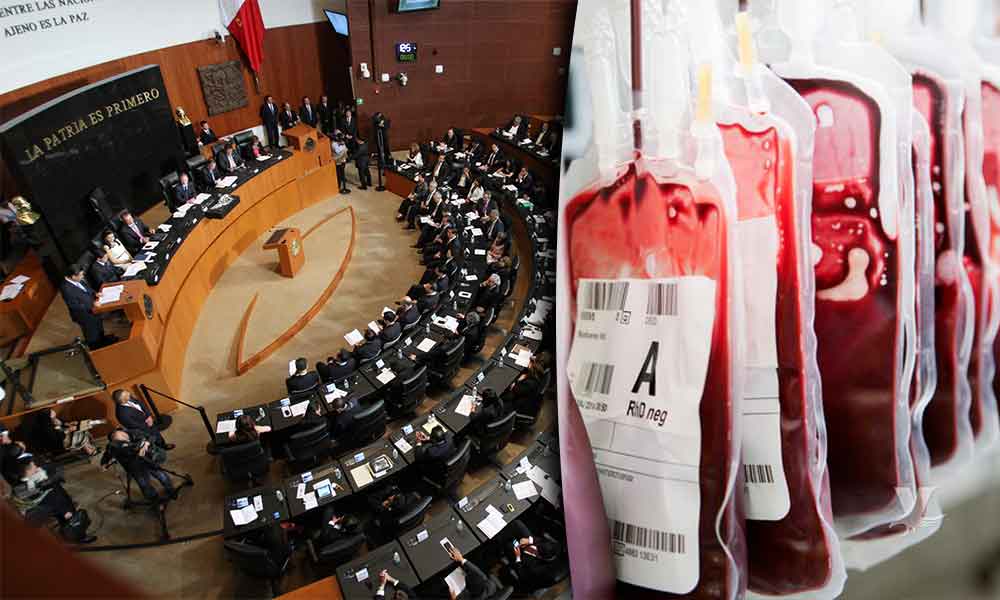 Exhortan al Ejecutivo Federal para que se decrete la “Semana de Donación de Sangre” del 8 al 15 de marzo de cada año en México