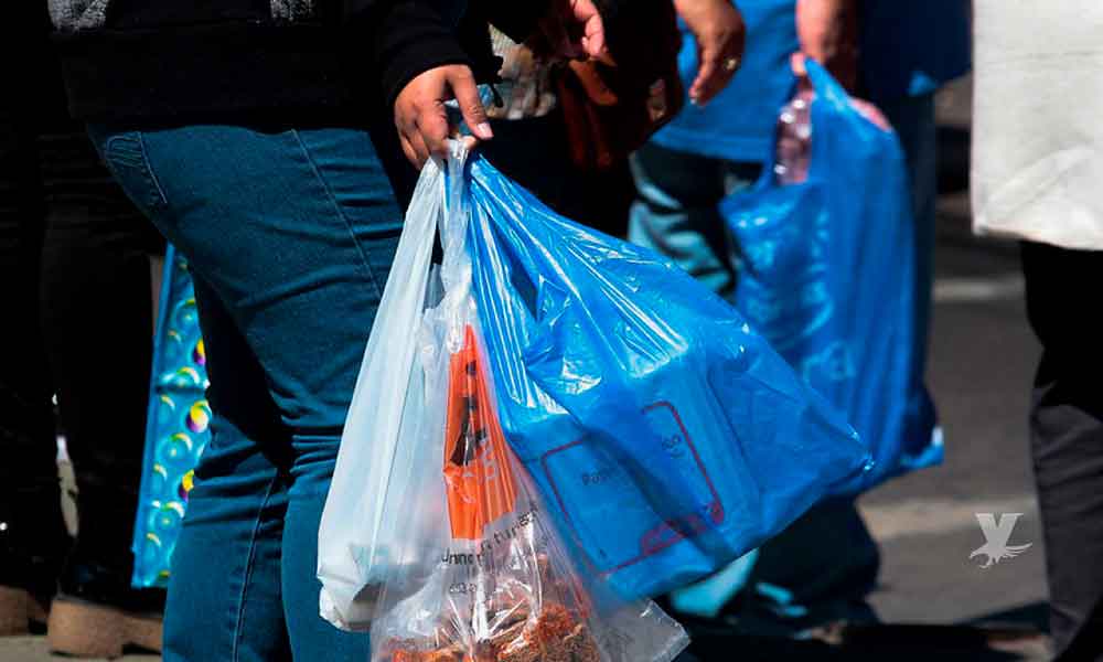 Cabildo analiza la eliminación de bolsas de plástico en supermercados y tiendas