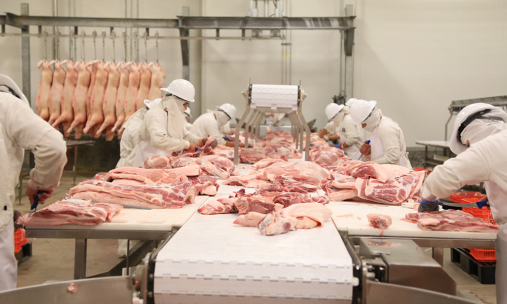 Llega a México la primera carga de carne de cerdo desde Alemania