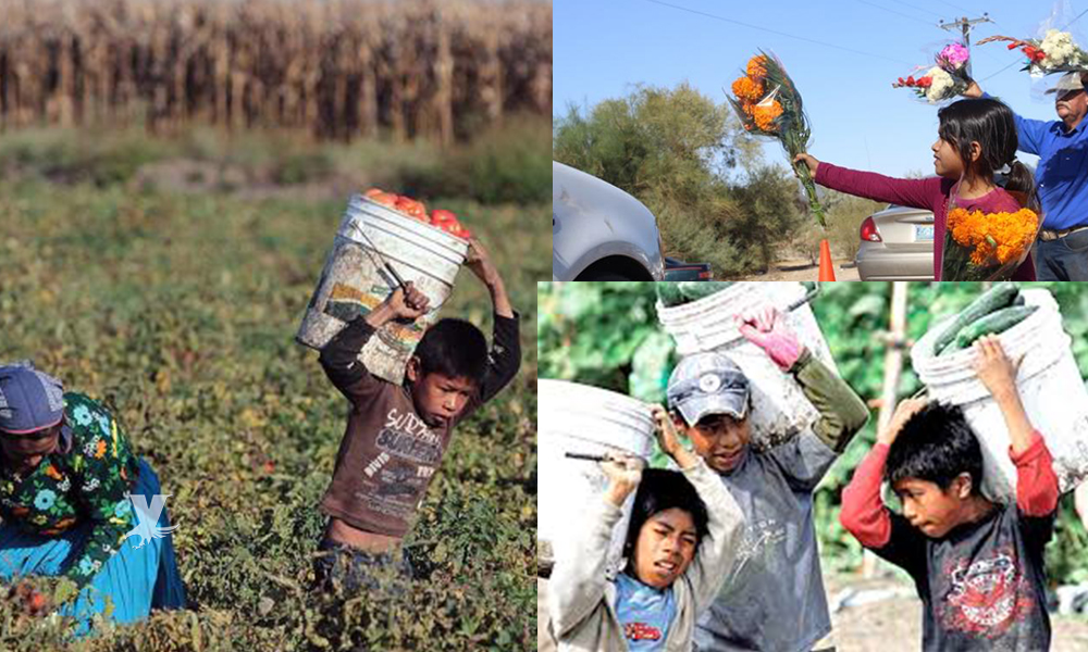 Mantienen acciones preventivas contra Trabajo Infantil en Baja California