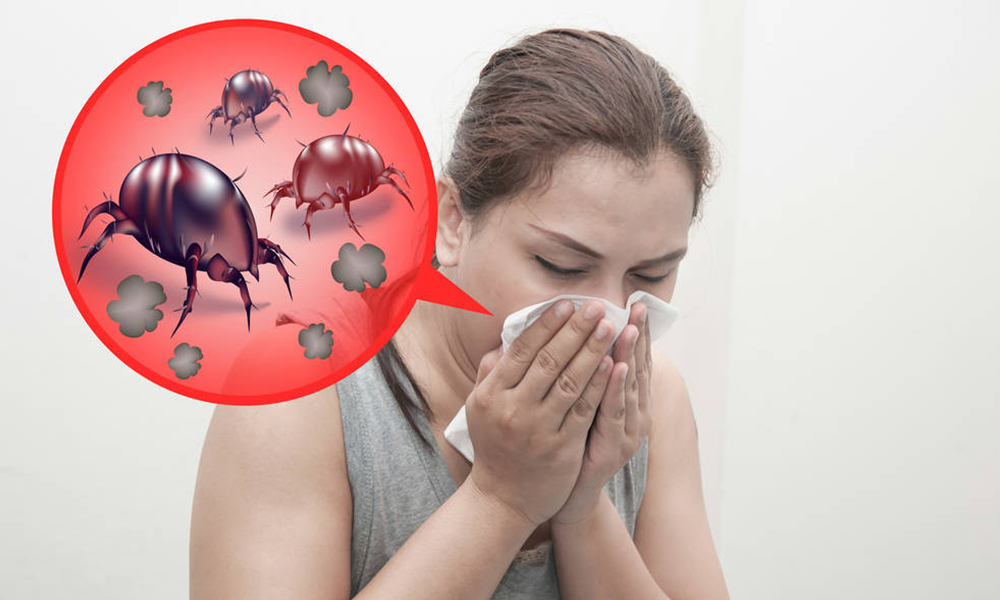 Previenen a personas con alergia sobre la afectación ocasionada por ácaros en Baja California