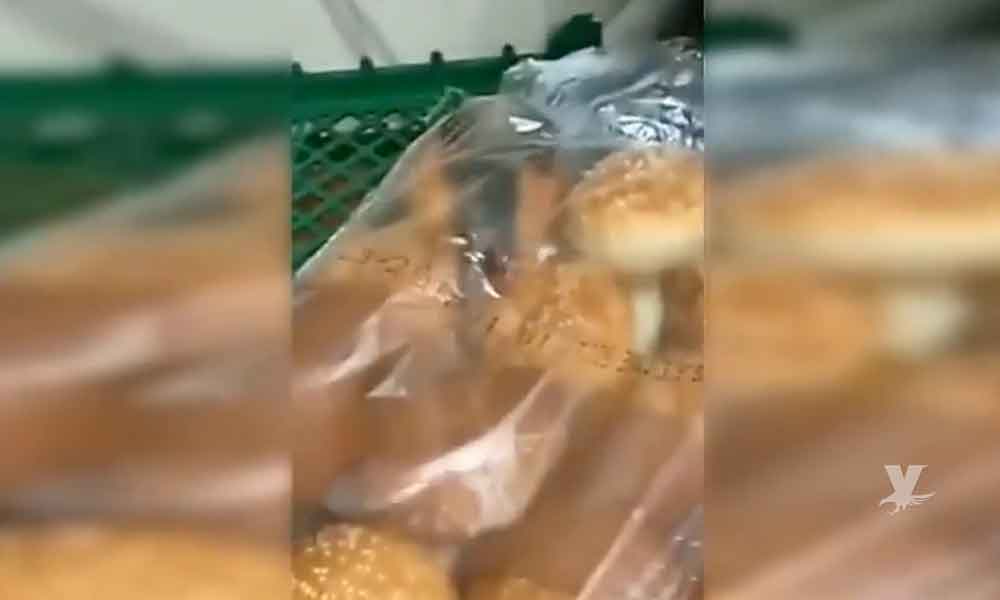 (VIDEO) Clausuran Burger King al encontrar ratas dentro de las bolsas de pan para las hamburguesas