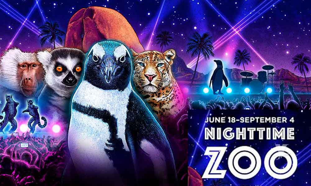 Fiesta iluminará por las noches al Zoológico de San Diego