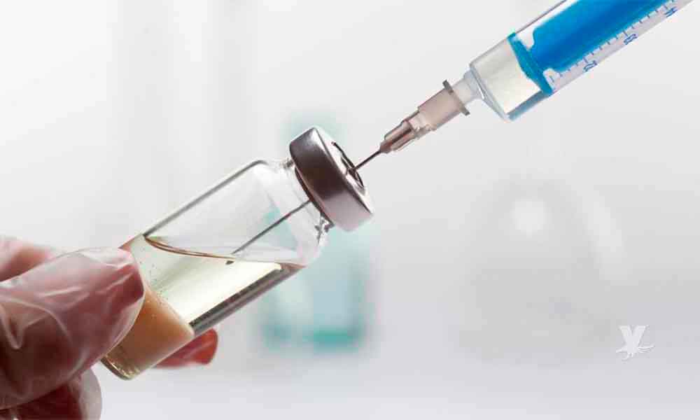 En 2019 se probará en humanos nueva vacuna contra el SIDA