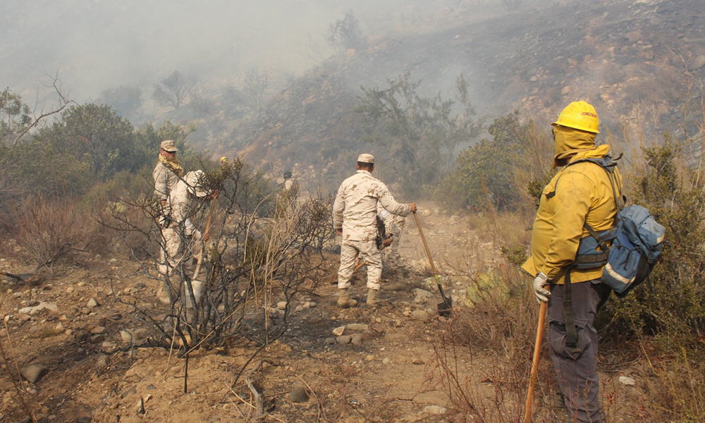 Liquidan incendio forestal en Parque Nacional Sierra de San Pedro Mártir