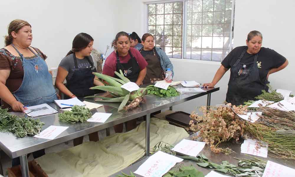 Capacitan a 20 mujeres en elaboración de productos de origen natural en Ensenada