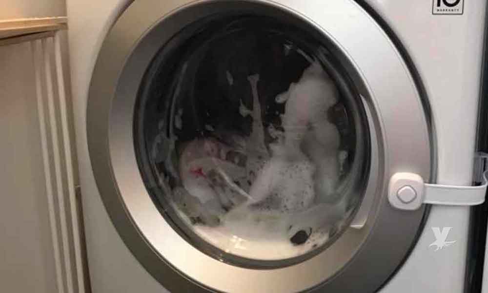 Hermanos de 3 y 4 años jugaban, uno quedó encerrado en la lavadora mientras se llenaba de agua