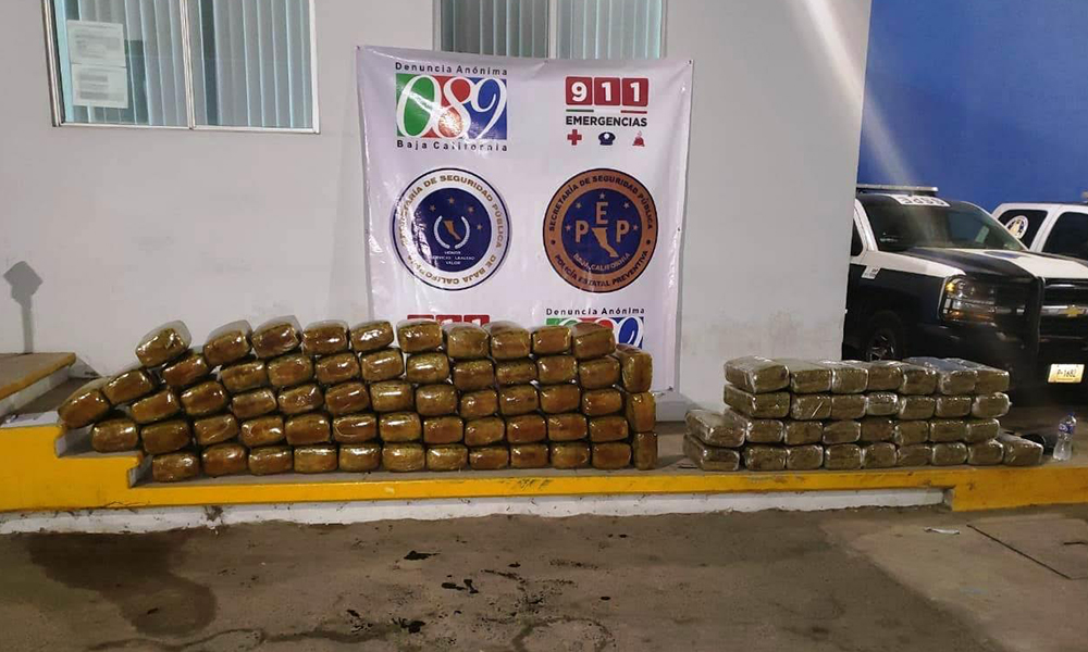 Aseguran 380 kilos de marihuana en Ensenada