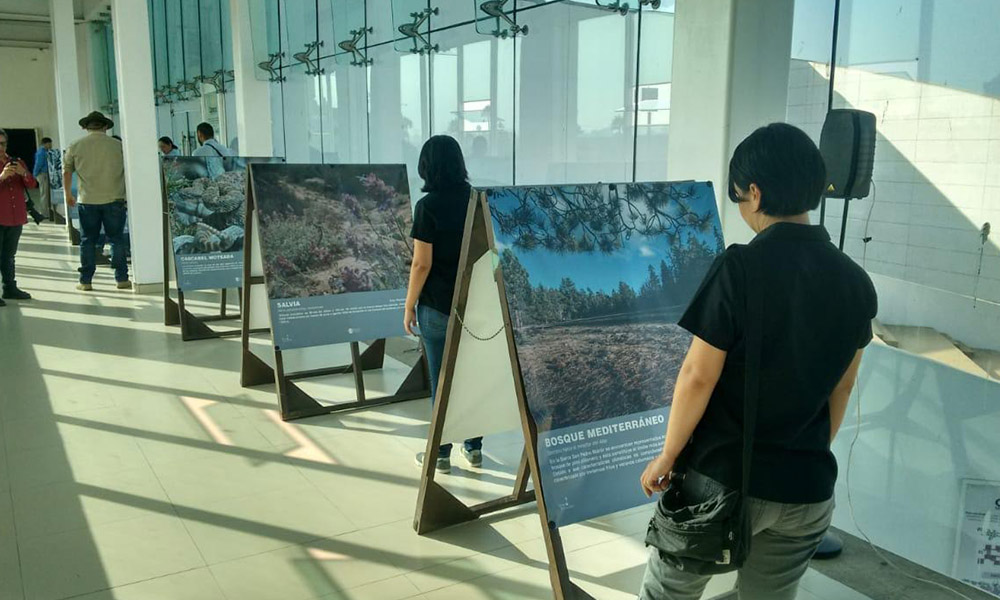 Inauguran la exposición fotográfica del Parque Nacional San Pedro Mártir en Ensenada