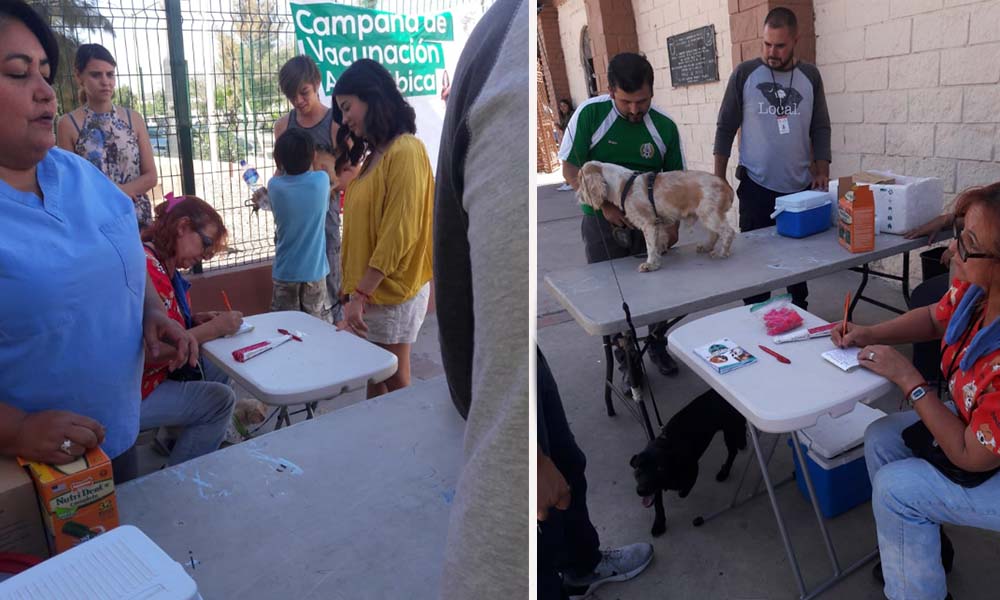 Jornada de vacunación antirrábica se realizó en Tecate