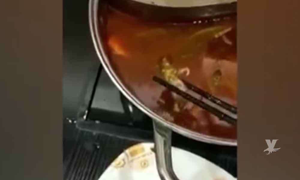 (VIDEO) Mujer embarazada encuentra una rata muerta en su comida, el restaurante debe indemnizarla con 190 MDD