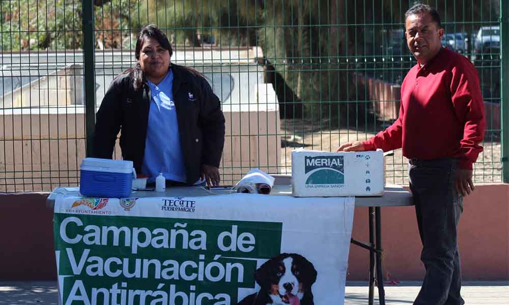 Aplicaron vacunas antirrábicas a mascotas en Tecate