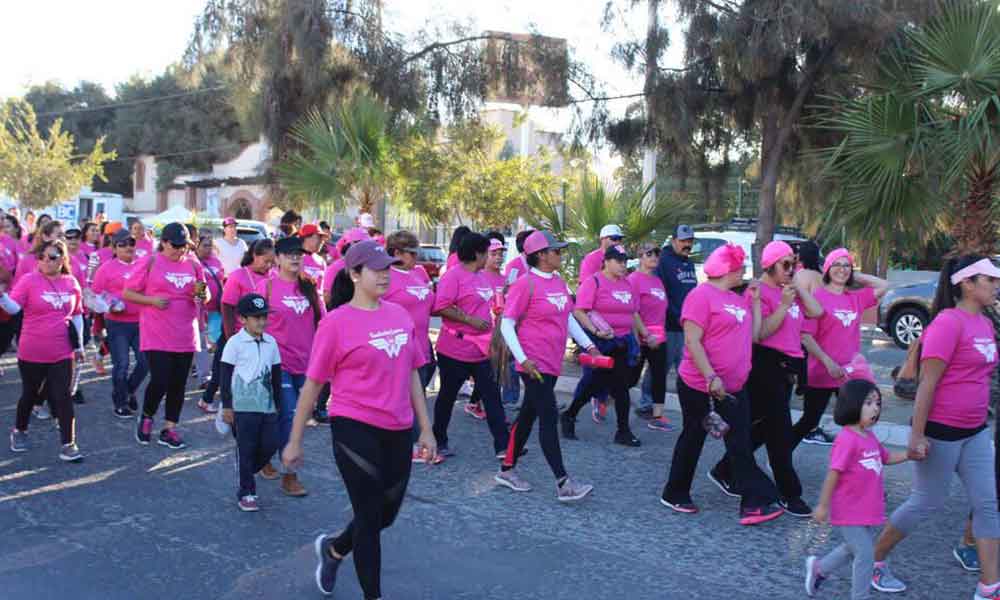 Se realizó 11va. caminata con causa contra el cáncer de mama en Tecate