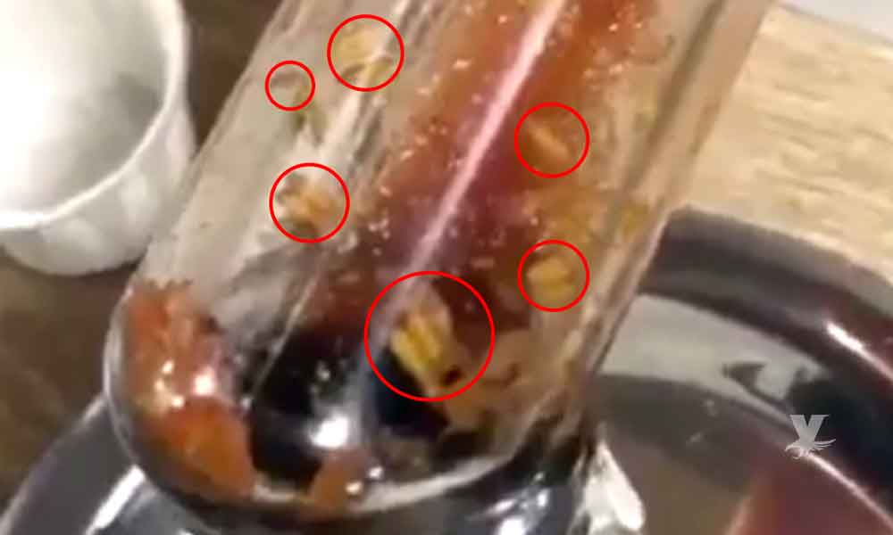 (VIDEO) Cliente supuestamente encuentra cientos de gusanos en dispensador de ketchup en McDonald’s