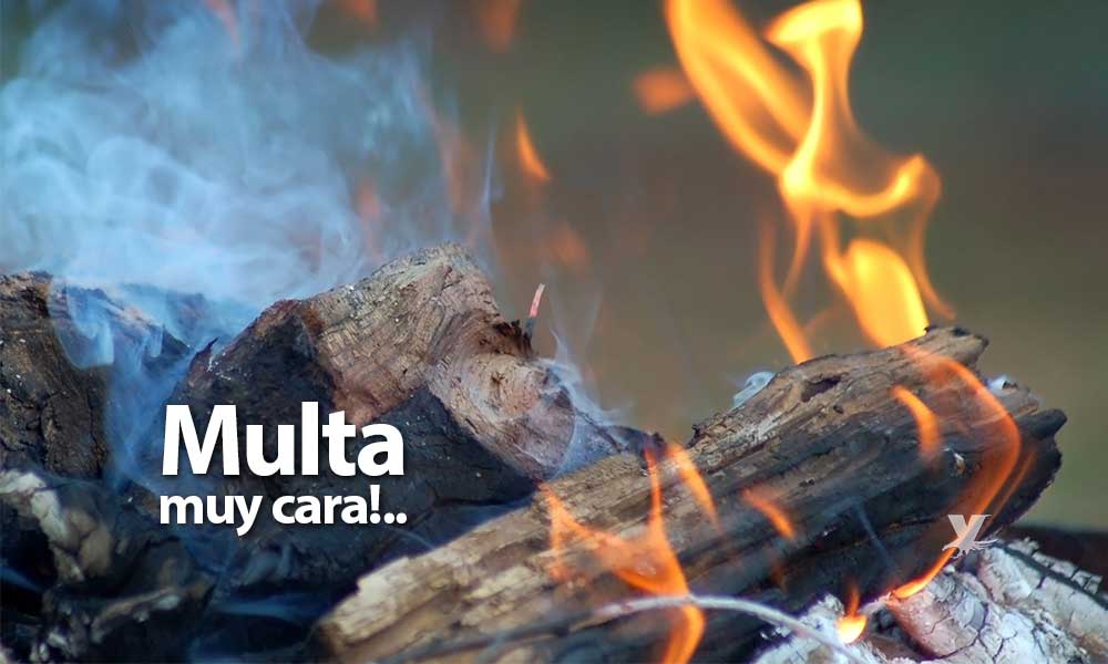 Miles de pesos en multa por la venta de leña, madera y fuegos artifíciales en Mexicali