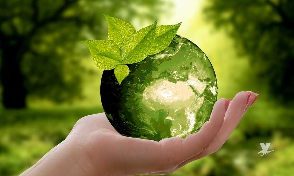 ¿Porqué celebramos el Día Mundial de La Tierra el 22 de abril de cada año?