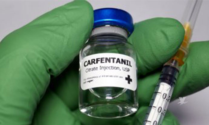 Alertan por casos de muerte por carfentanilo en San Diego, 100 veces más potente que la droga para dormir elefantes