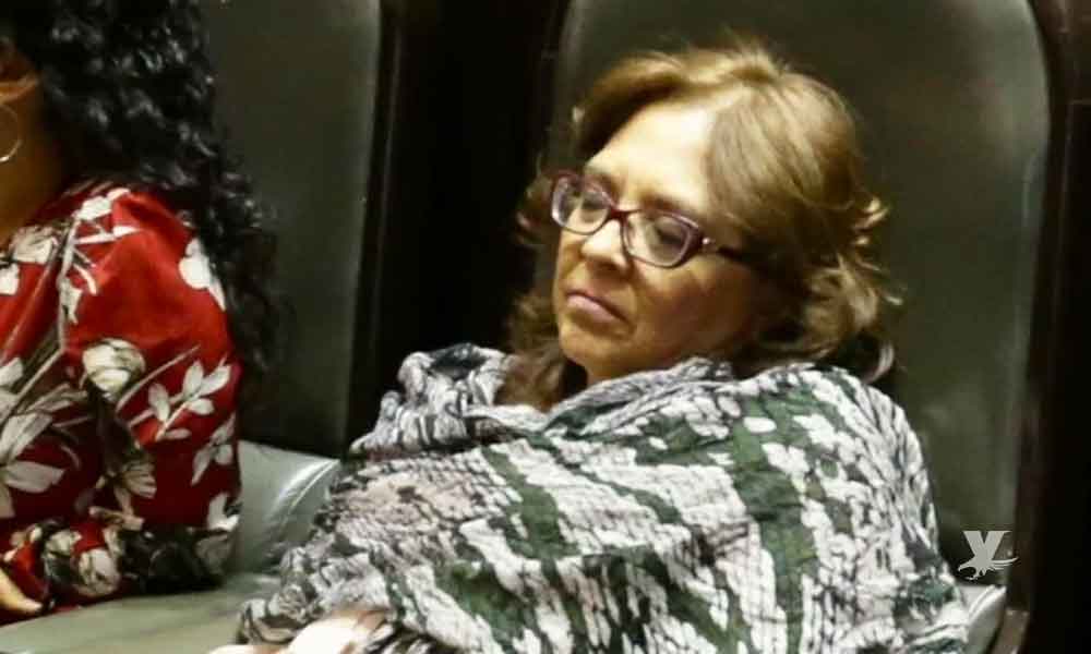 Diputada de Morena es captada dormida mientras se debatía la Reforma Educativa