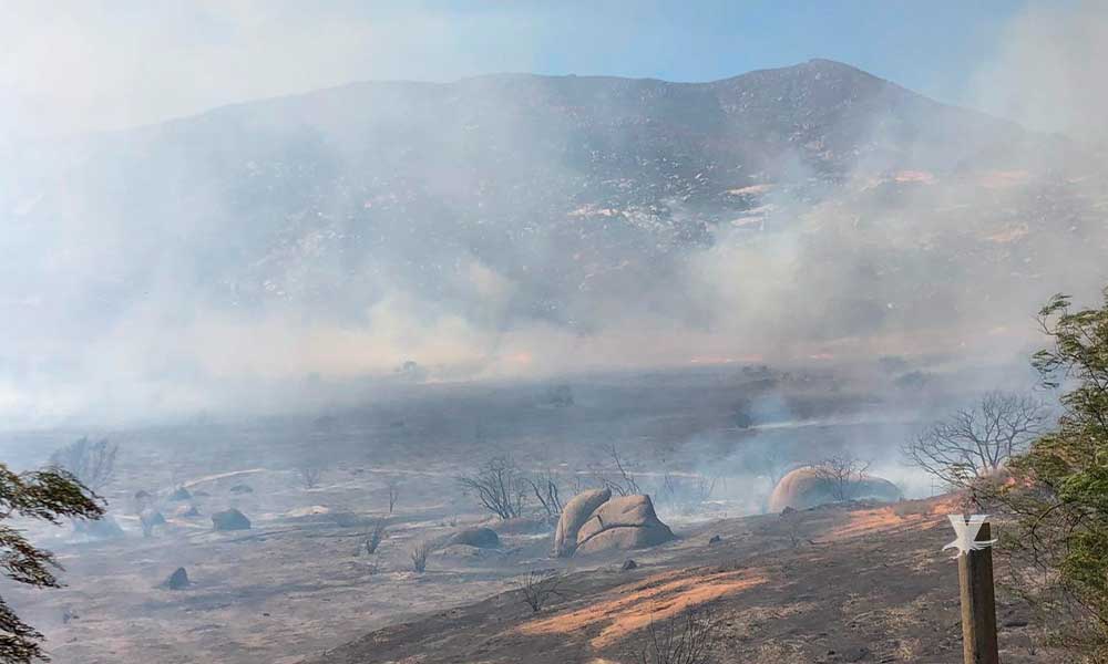 Bomberos contienen incendio forestal en la zona de la Paloma