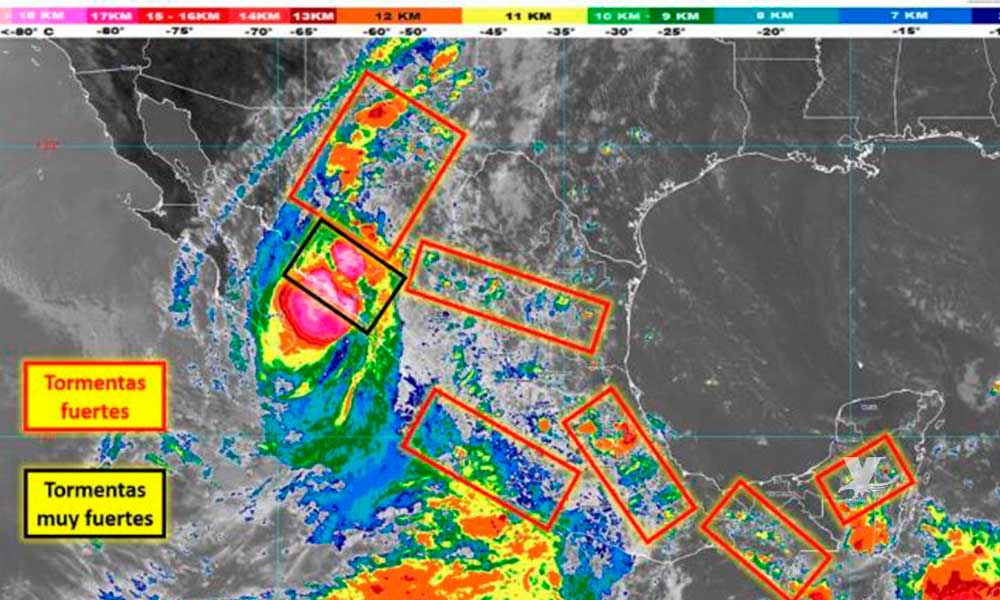 Narda sigue avanzando como ciclón tropical por el Golfo de California