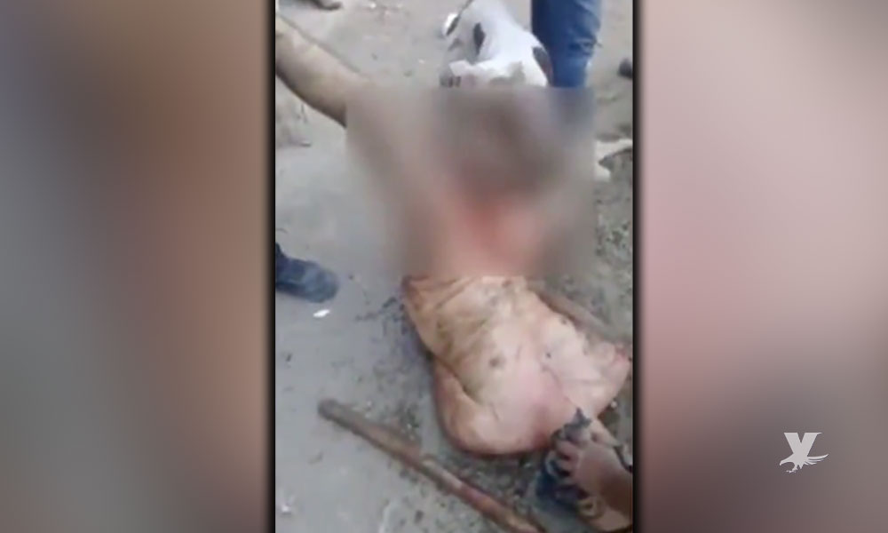 (VIDEO) Sicarios torturan un hombre utilizando a perro que le destroza a mordidas sus partes íntimas