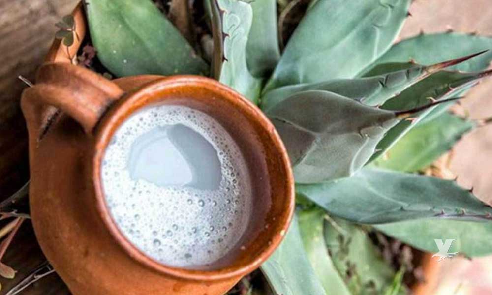 Beneficios de beber pulque