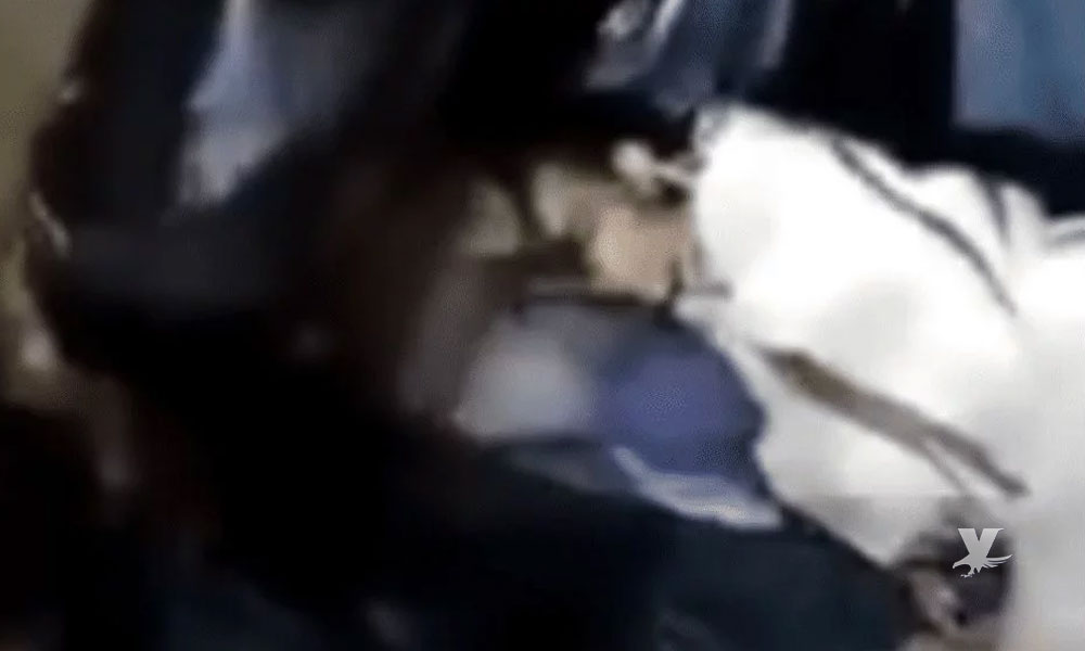 (VIDEO) Jefe despierta a balazos a ‘halcón’ sicario que se quedó dormido